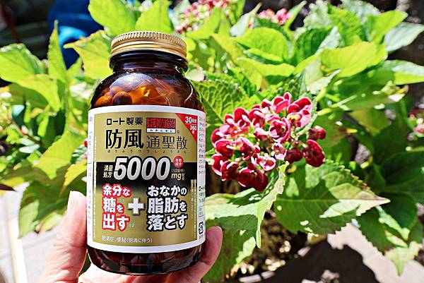 (日本藥妝)日本在地家庭推薦!2025必買人氣藥妝介紹! (日本藥妝)日本在地家庭推薦!2025必買人氣藥妝介紹!