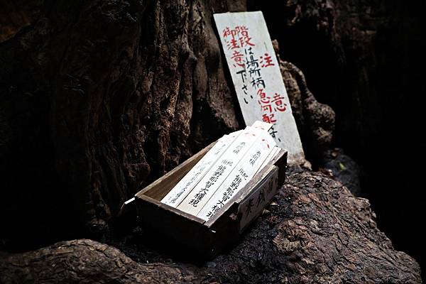 (和歌山自由行)被世界遺產擁抱的療癒之旅!與熊野古道、熊野那 (和歌山自由行)被世界遺產擁抱的療癒之旅!與熊野古道、熊野那