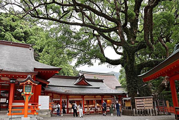 (和歌山自由行)被世界遺產擁抱的療癒之旅!與熊野古道、熊野那 (和歌山自由行)被世界遺產擁抱的療癒之旅!與熊野古道、熊野那