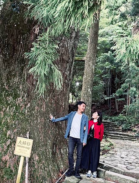 (和歌山自由行)被世界遺產擁抱的療癒之旅!與熊野古道、熊野那 (和歌山自由行)被世界遺產擁抱的療癒之旅!與熊野古道、熊野那