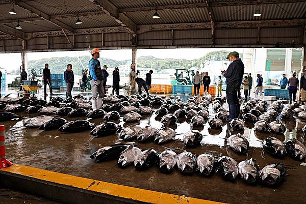 (和歌山自由行)被世界遺產擁抱的療癒之旅!與熊野古道、熊野那 (和歌山自由行)被世界遺產擁抱的療癒之旅!與熊野古道、熊野那