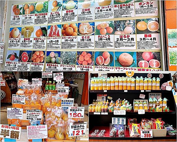 (和歌山自由行)被世界遺產擁抱的療癒之旅!與熊野古道、熊野那 (和歌山自由行)被世界遺產擁抱的療癒之旅!與熊野古道、熊野那