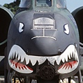 1477393-a_10_thunderbolt_ii_shark_face.jpg