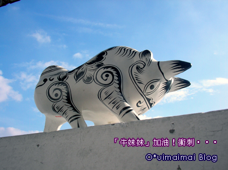 SANY0106.jpg SANY0106.jpg