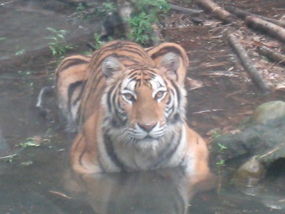 bcsttw002.JPG