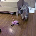 20110129490.jpg