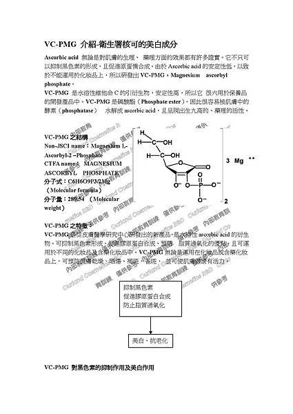 VC-PMG_頁面_1