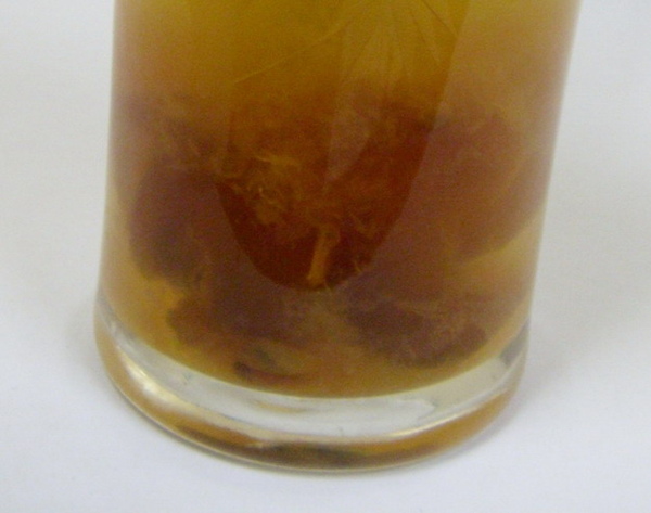 ST838804.jpg