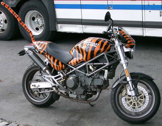 Custom-Paint-Sportsbike-03.jpg