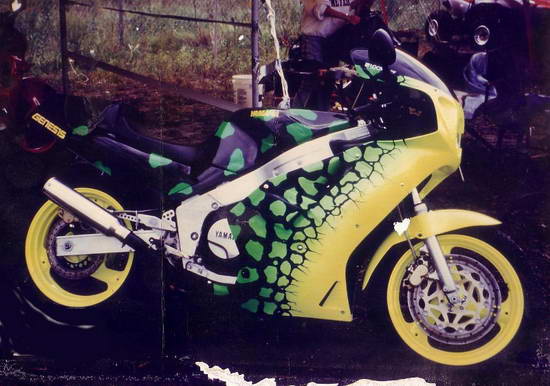 Custom-Paint-Sportsbike-09.jpg