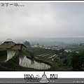 Indo15-rice field (3).jpg