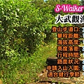 台東01-大武觀海步道資訊圖.jpg