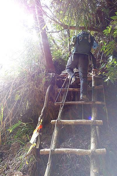 010一開始領隊就帶我們以「切西瓜」的方式縮短登山的路徑.JPG