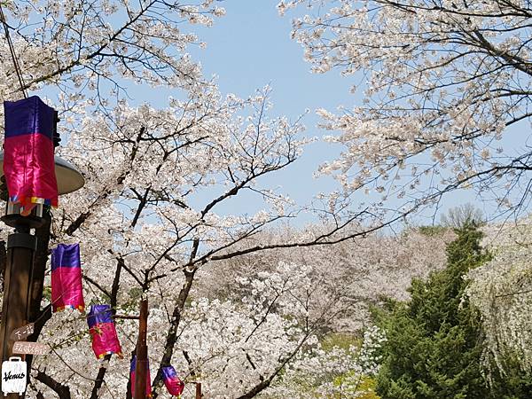 鞍山公園.jpg