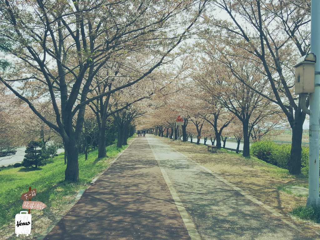 釜山三樂江邊公園.jpg