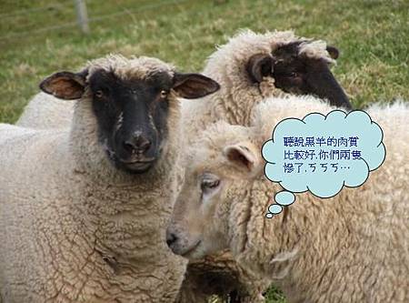 黑面羊二三事 搞笑迷走羊ㄛ北夏 痞客邦 黑面羊二三事 搞笑迷走羊ㄛ北夏 痞客邦