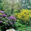 IMG_0149.JPG