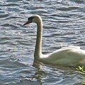 IMG_0218.JPG