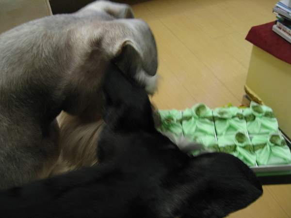 IMG_5370.JPG IMG_5370.JPG