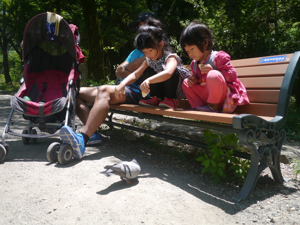 P1660479.JPG