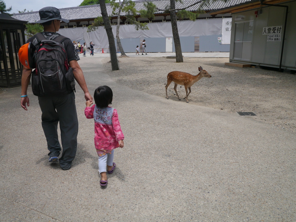 P1660884.JPG