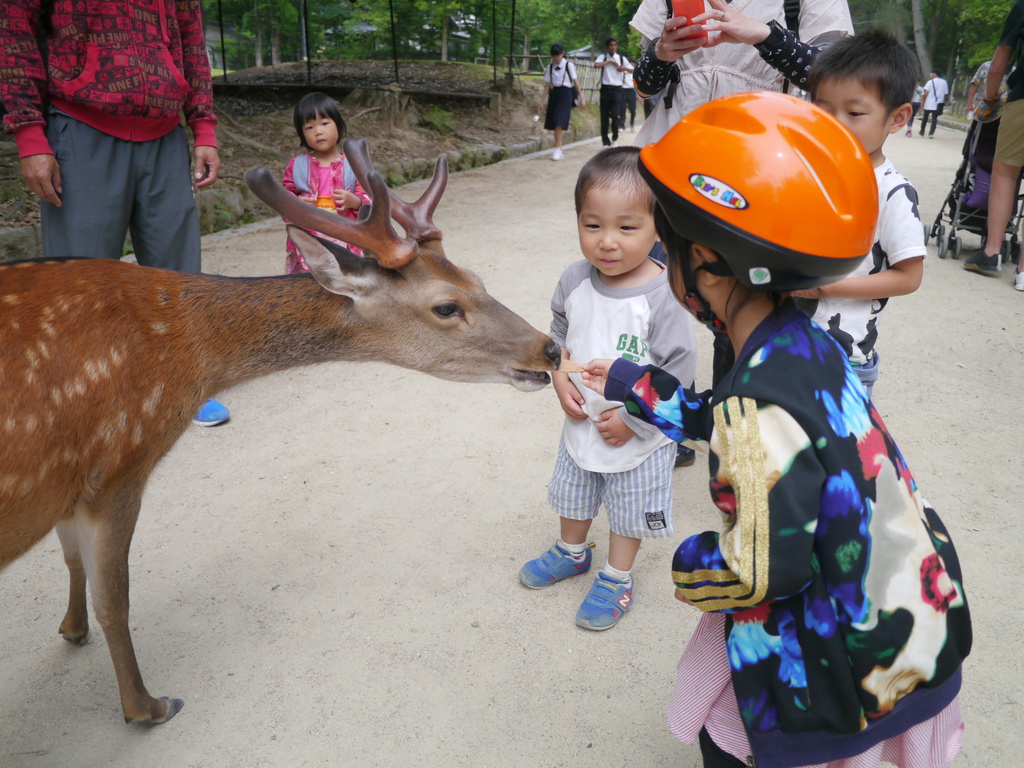 P1660961.JPG