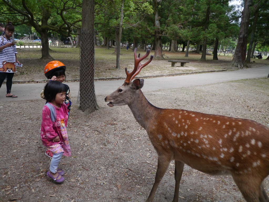P1670047.JPG