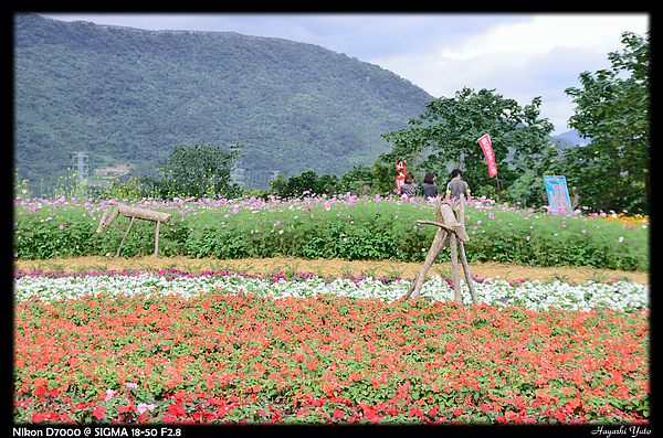 DSC_0707P19.jpg