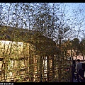 DSC_0470P100.jpg