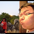 DSC_0469P99.jpg