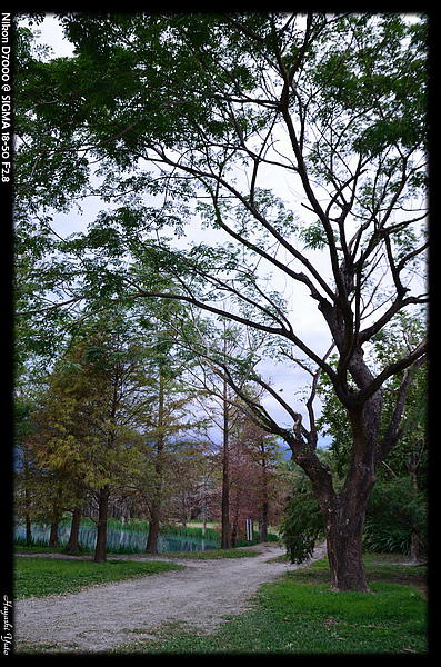 DSC_0750P54.jpg