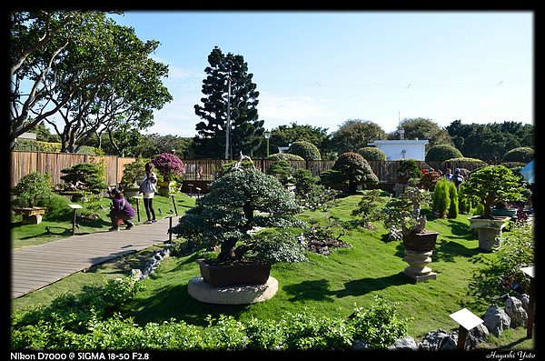 DSC_0325P04.jpg