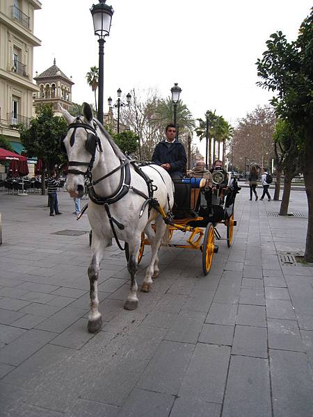Sevilla到處有馬車