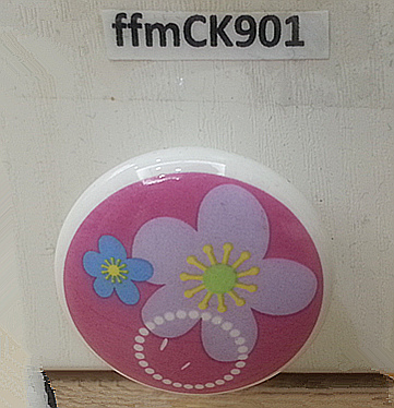 ffmCK901.jpg