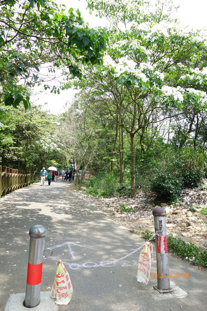 DSC04934.JPG DSC04934.JPG