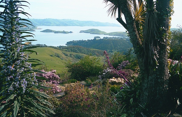 Larnach Castle11.JPG