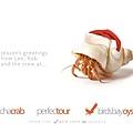 2010 Christmas Card1.JPG