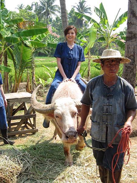 Chiang Mai Dhara Dhevi4