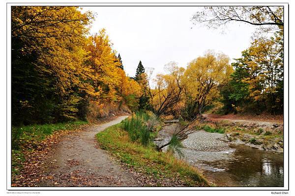 ARROWTOWN(AUTUMN2