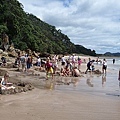 Hot water beach Kawhia2(WHITIANGA SOUTH