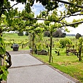 Hamilton & Waikato(Vilagrad Winery