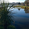 Hamilton & Waikato(LAKE HAKANOA