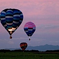 Hamilton & Waikato(KIWIN BALLOON