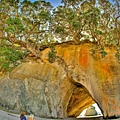 COROMANDEL12(CATHERDRAL COVE