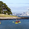 AKL AIRPORT IMAGE17