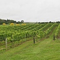 Southern Highland Wines2