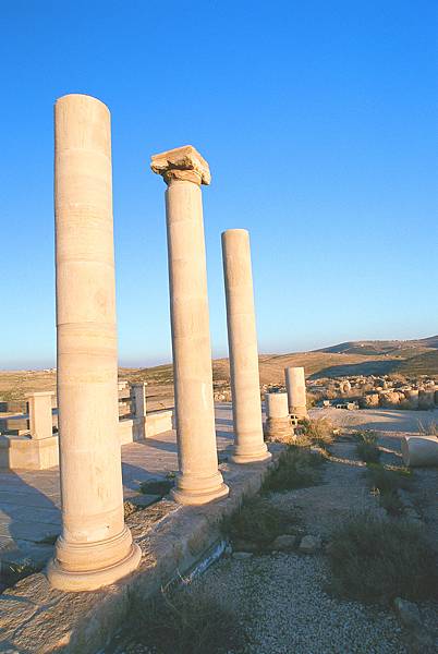 Makawir columns