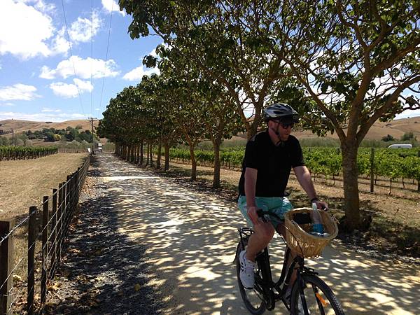 Hawke's Bay Trails - Wineries Ride 1, Hawke's Bay, NZ