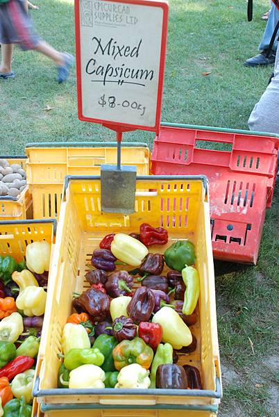 Fresh Produce HB Farmers Market, Hawke's Bay, NZ