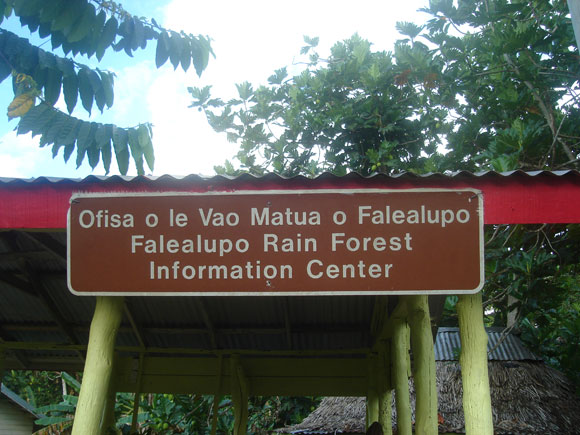 SAMOA SAVALI(CANOPY WALKWAY3